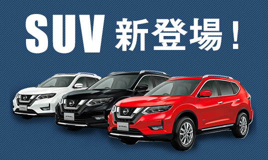 人気車種も!